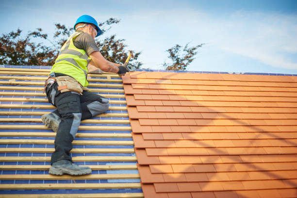 Best Solar Panel Roofing Installation  in Bismarck, MO